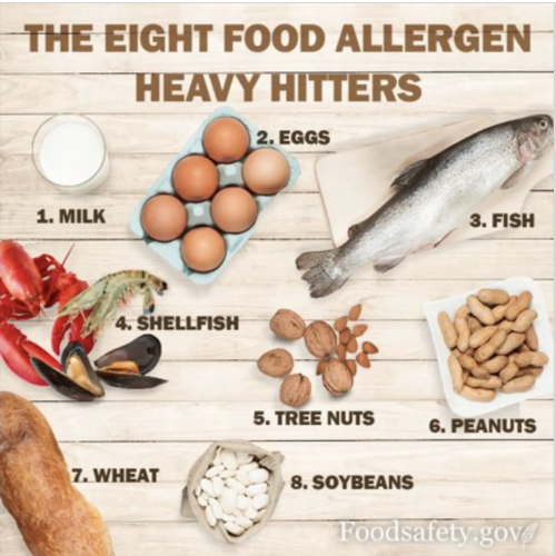 Different Food Allergens